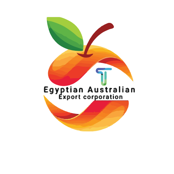 Egy-Aust-Corporation Logo